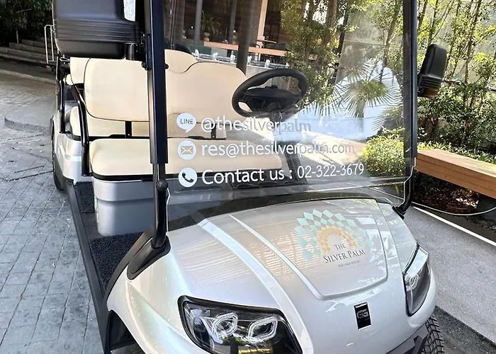 The Silver Palm Wellness