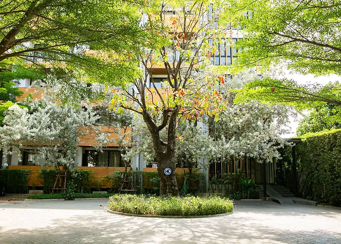 The Silver Palm Wellness Bangkok