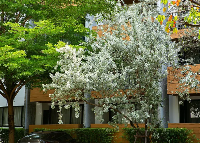 The Silver Palm Wellness Bangkok