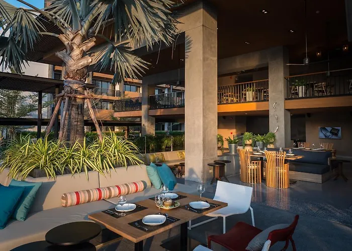 The Silver Palm Wellness